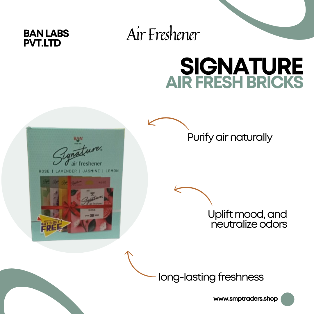 SIGNATURE AIR FRESH BRICKS 50GX4PCS